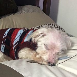 Meet your Posher, Elida